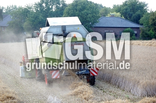 Mähdrescher_3.JPG